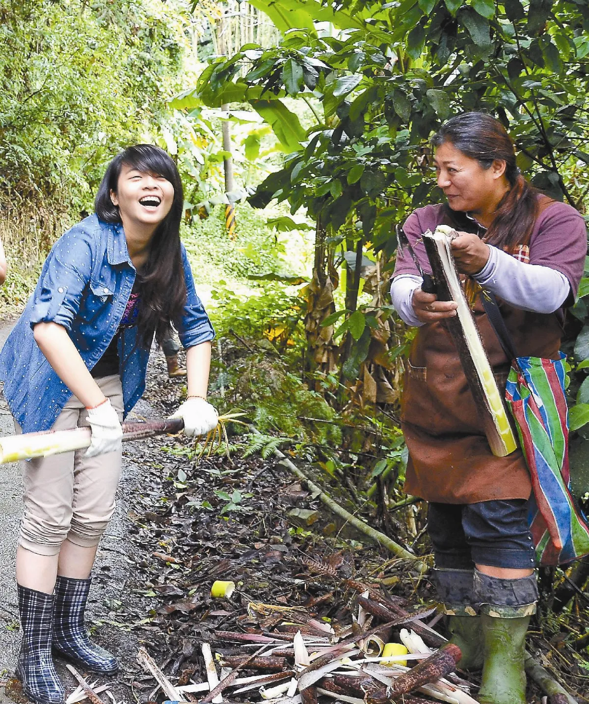 走進藍色部落 青年採筍助原民
