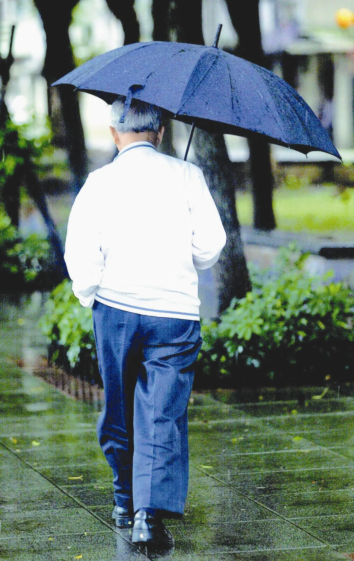 家人關係 阿公來訪的真相