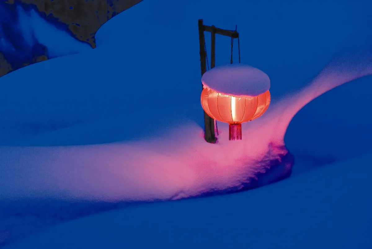 真正的叛逆  記忘年知音