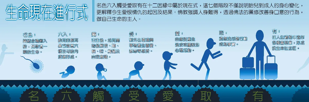 生命，我懂了