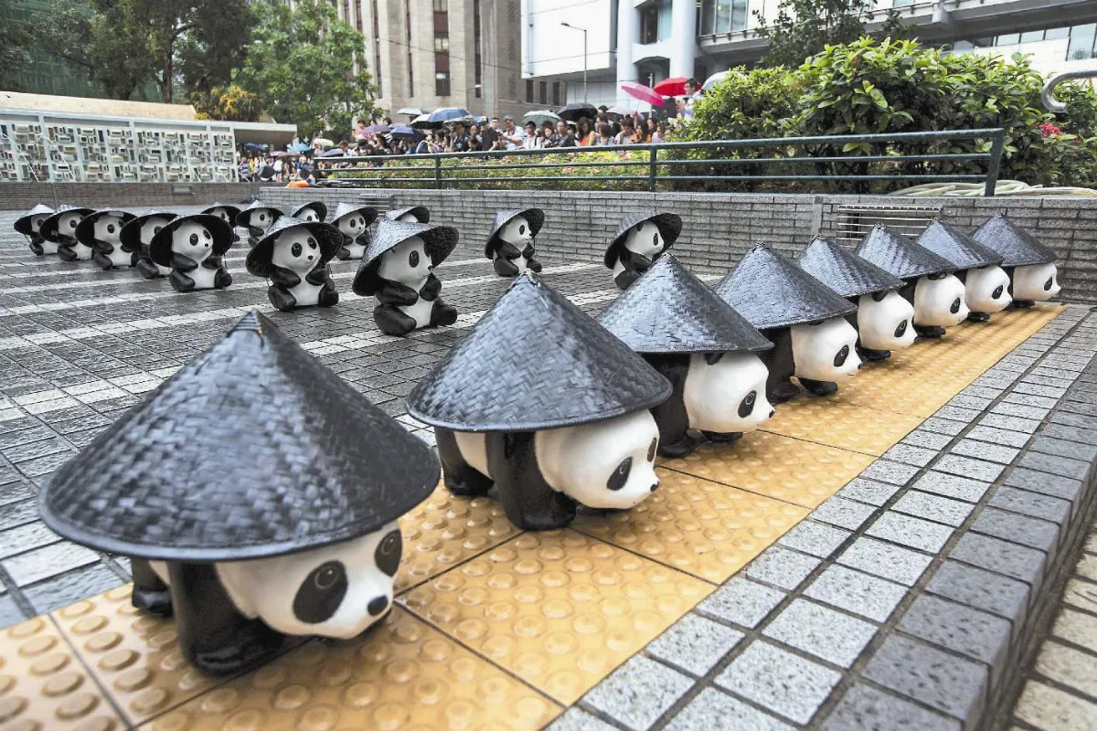 貓熊戴斗笠