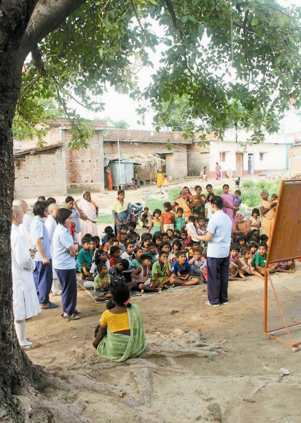 叢林生活 大樹下的課堂