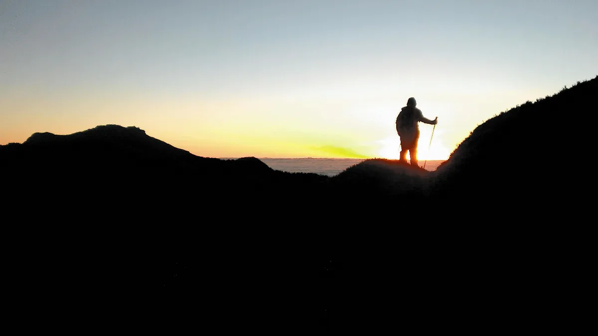 生命畫語 放下的能量