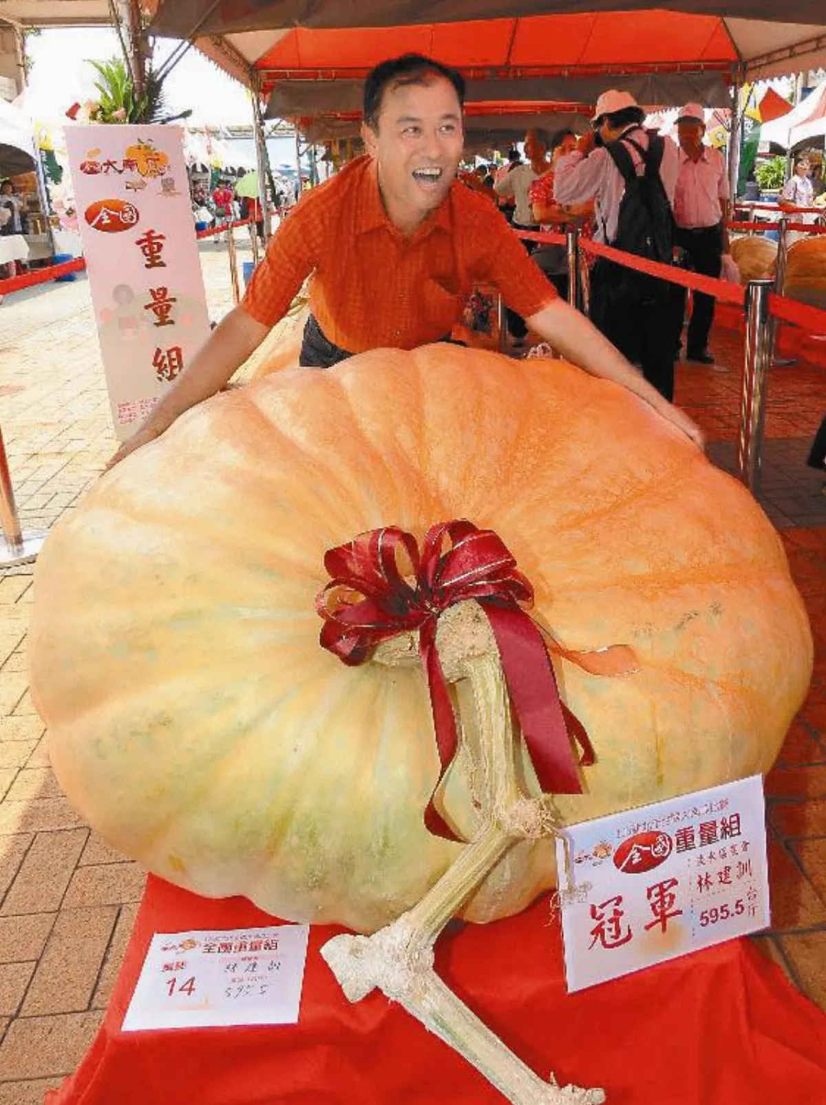 全國大南瓜比賽 第一名595.5台斤