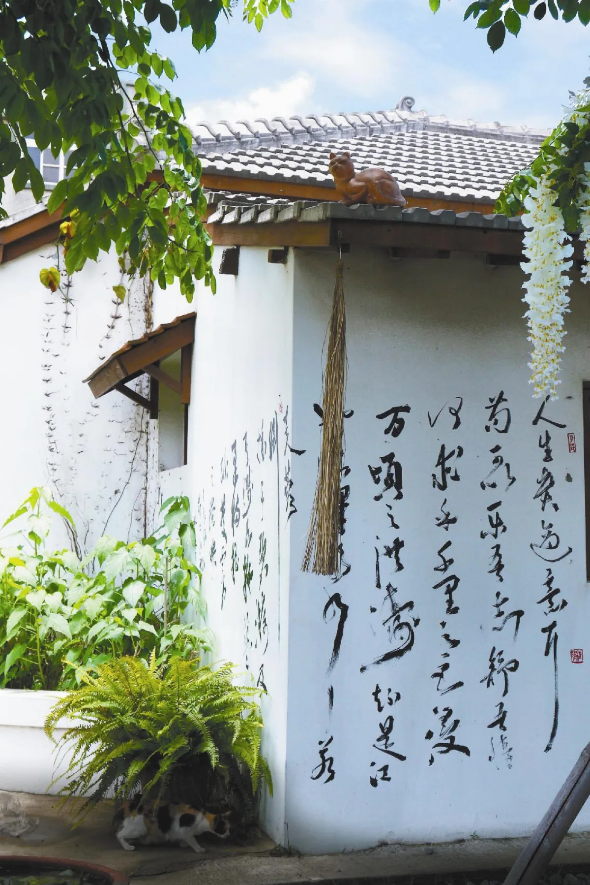 藝術村貓造景  真貓好奇湊熱鬧