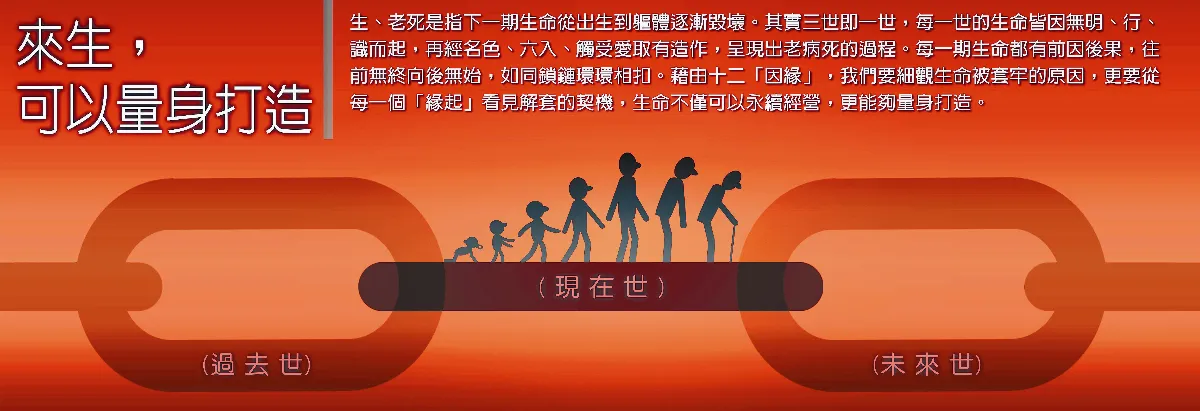 生命，我懂了
