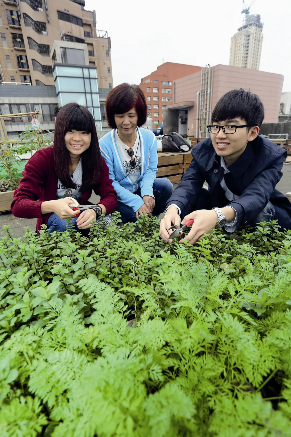 Urban Micro-Farming: A Growth Industry 都市種菜正熱門