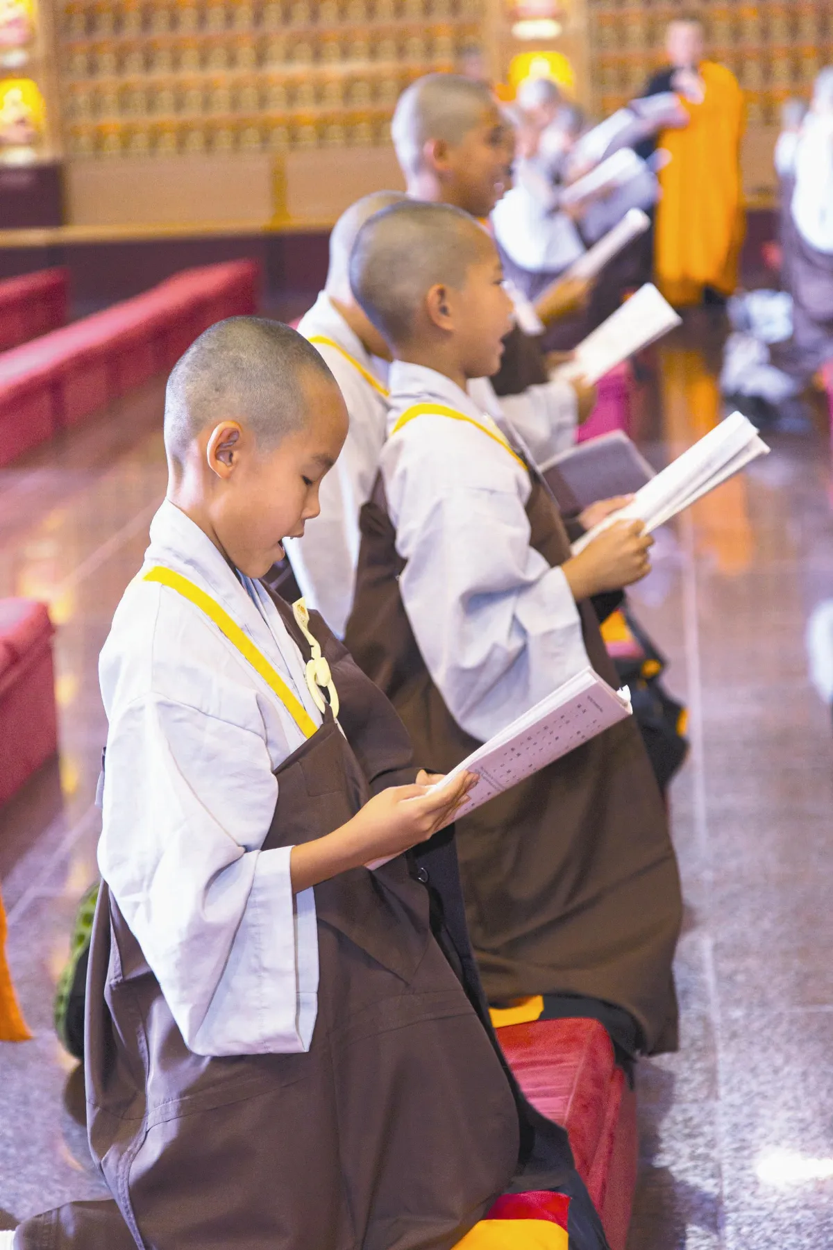 西來寺／短期出家 5天沙彌生活 調伏貪玩心