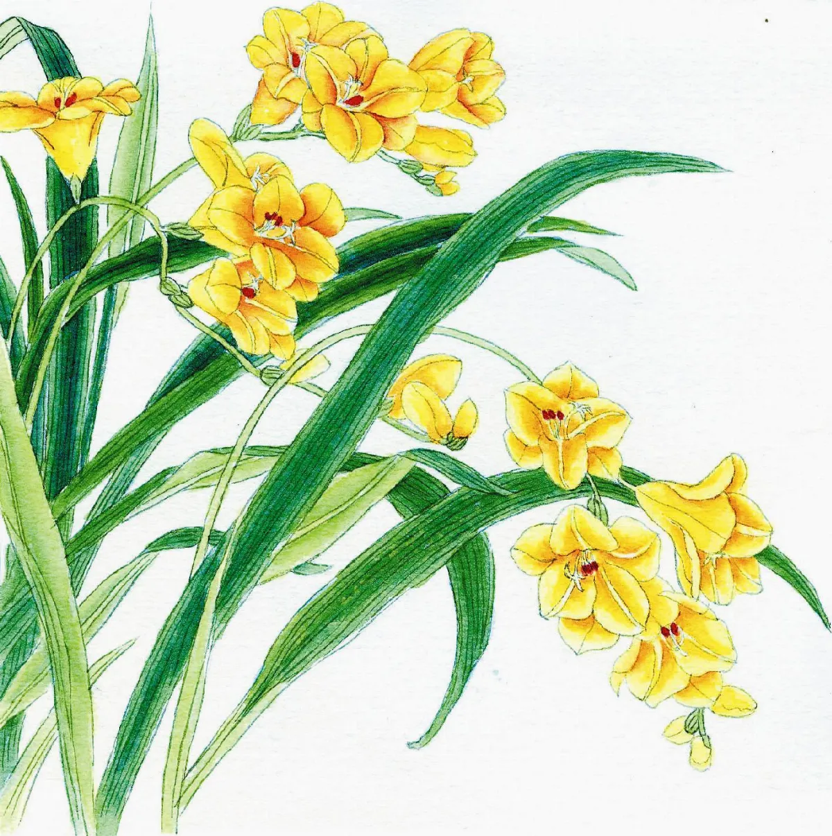 星雲說偈 今世因來世果