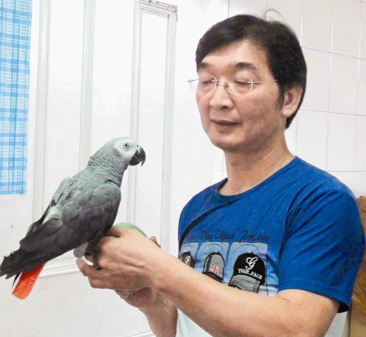 鸚鵡宣教士