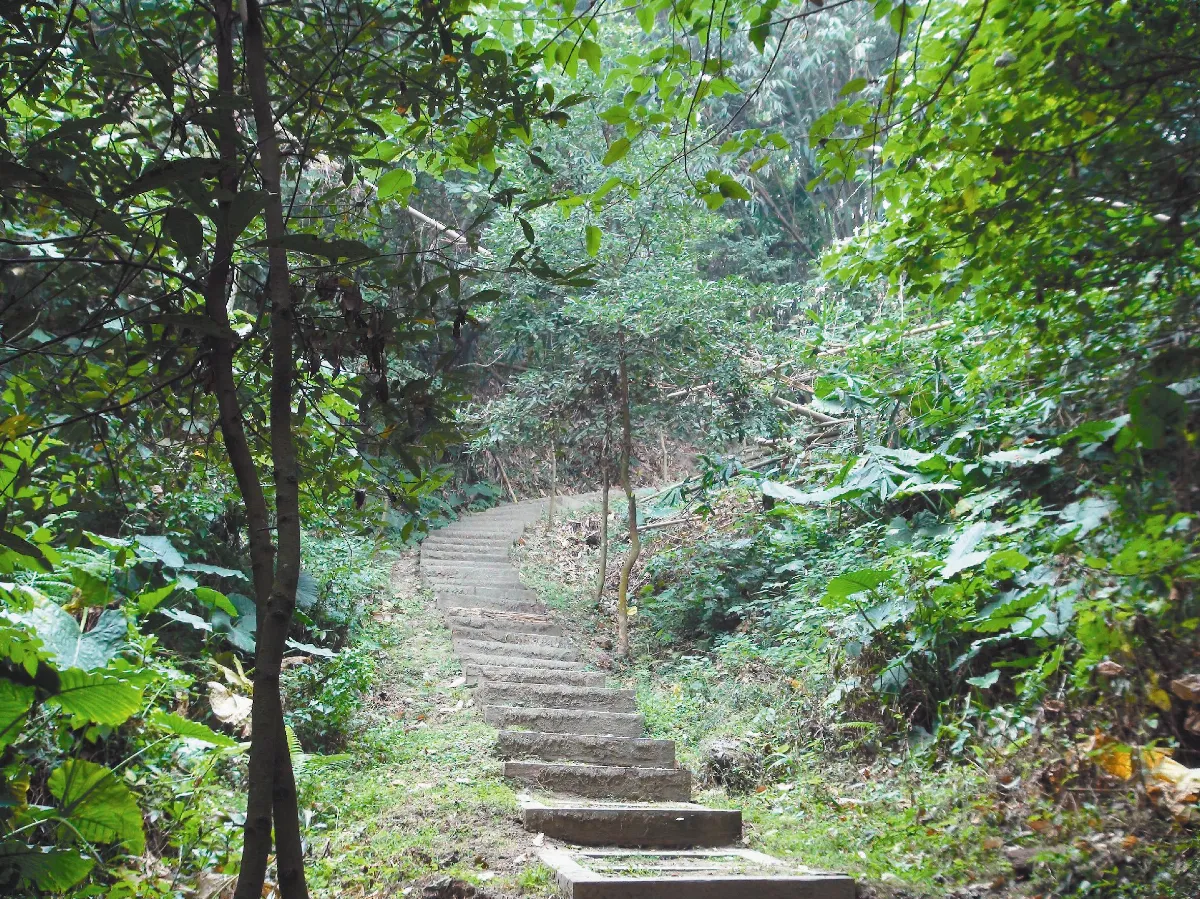 並非每隻飛蛾都撲火 白天也能見芳蹤