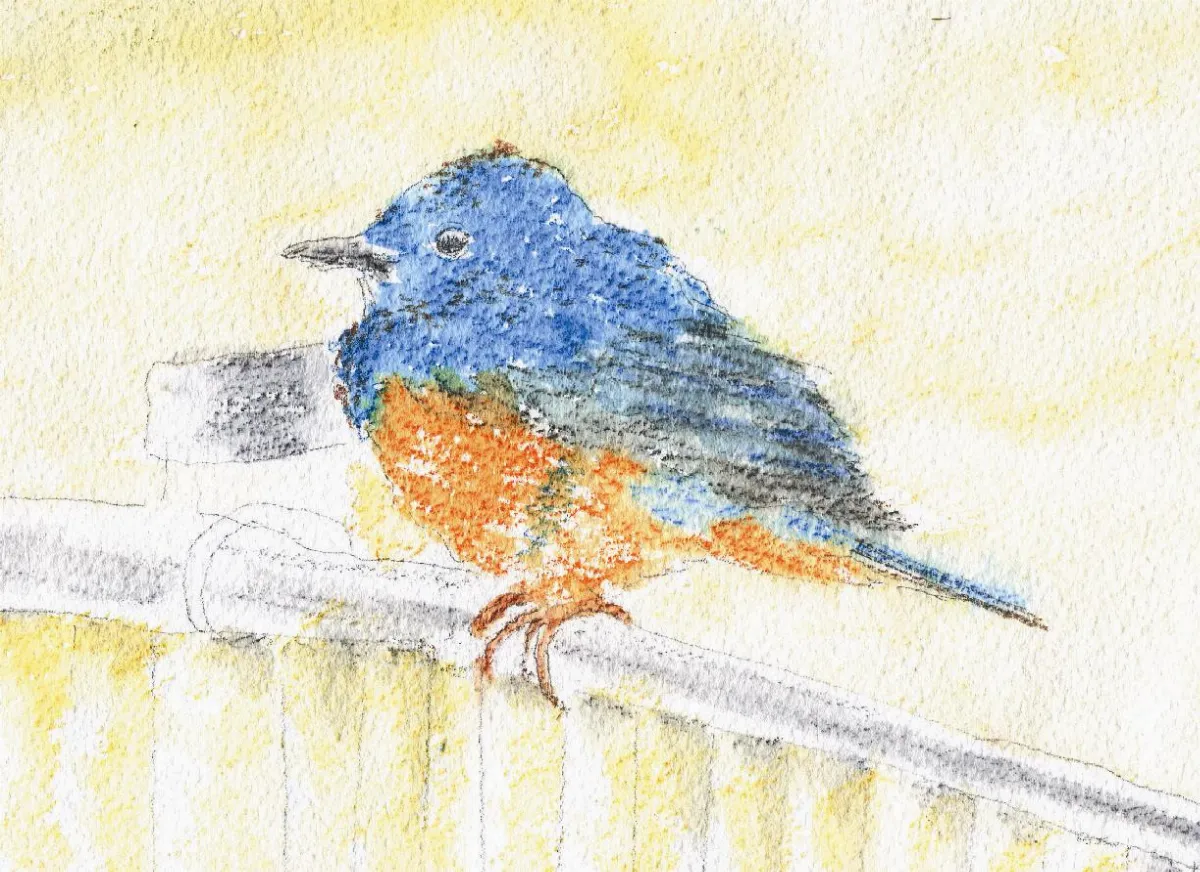 星雲說偈 勸打鳥者