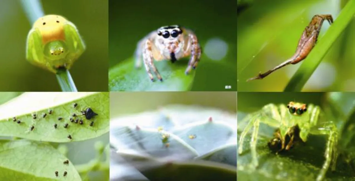 展│覽│訊│息