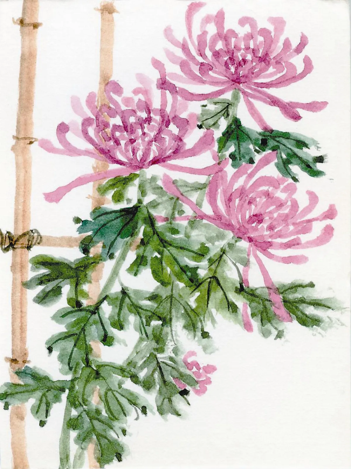 星雲說偈 正信為首