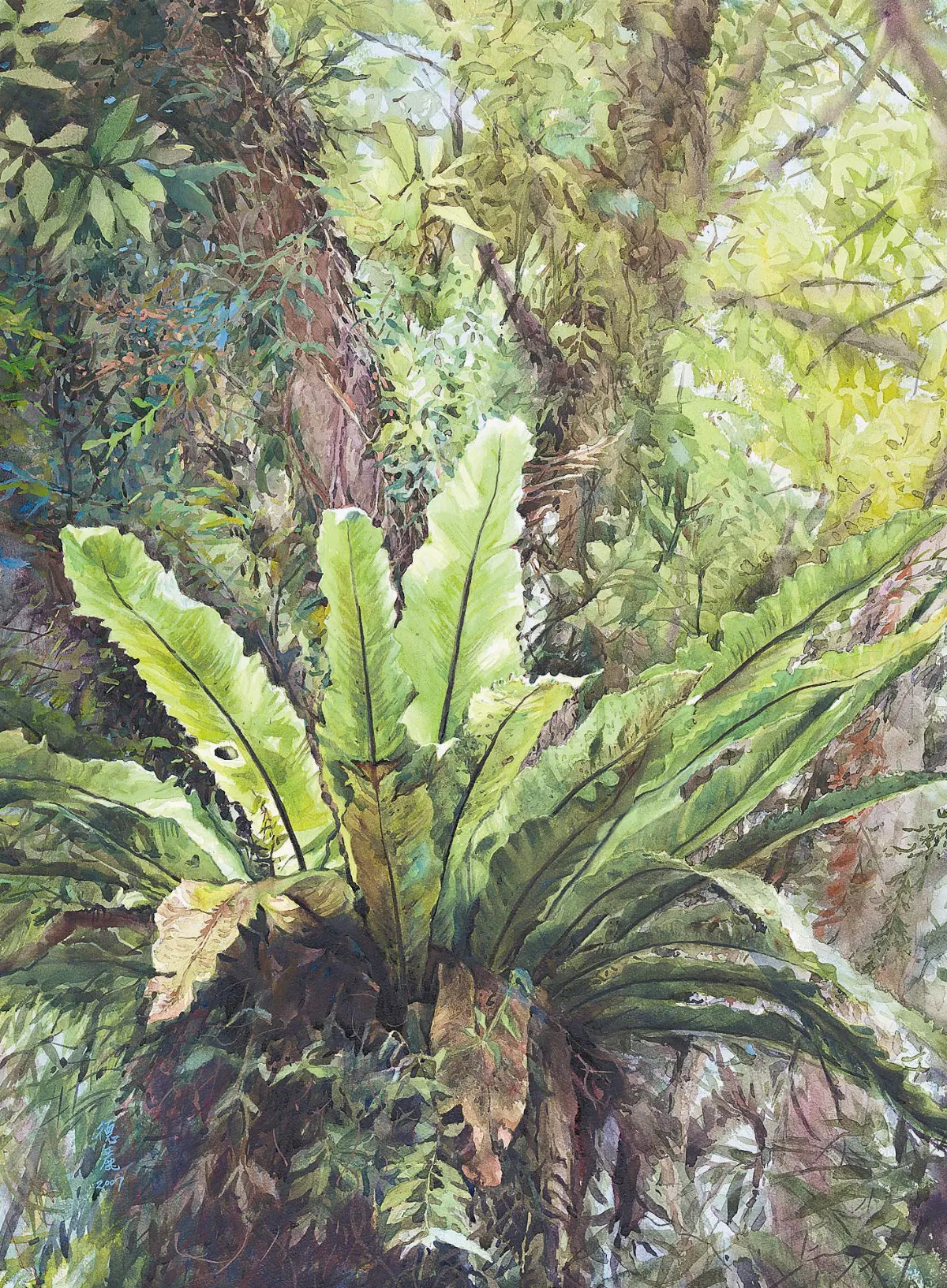 【春芽夏蔭‧許德麗水彩畫展】 蕨之光