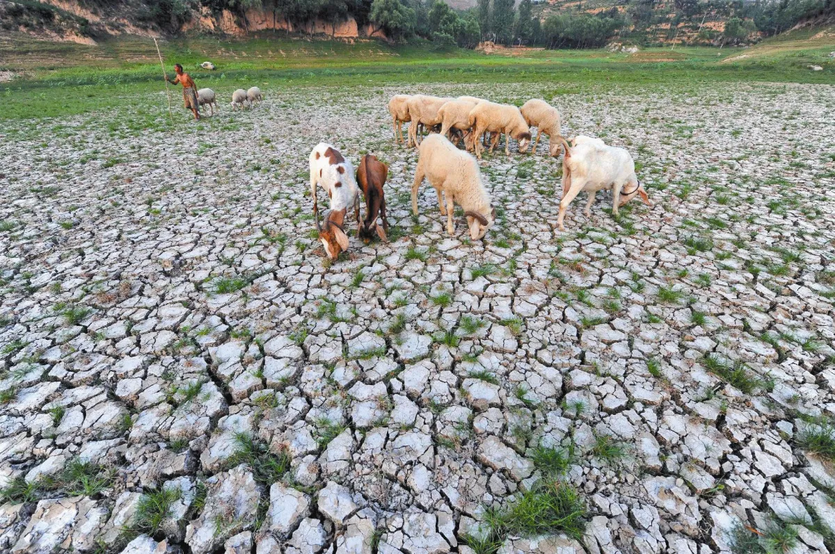 河南夏旱！ 1古井全村救命水