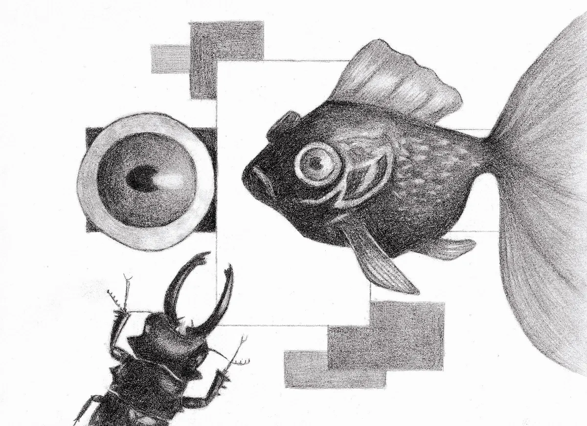 醫病看對眼 他用心你放心