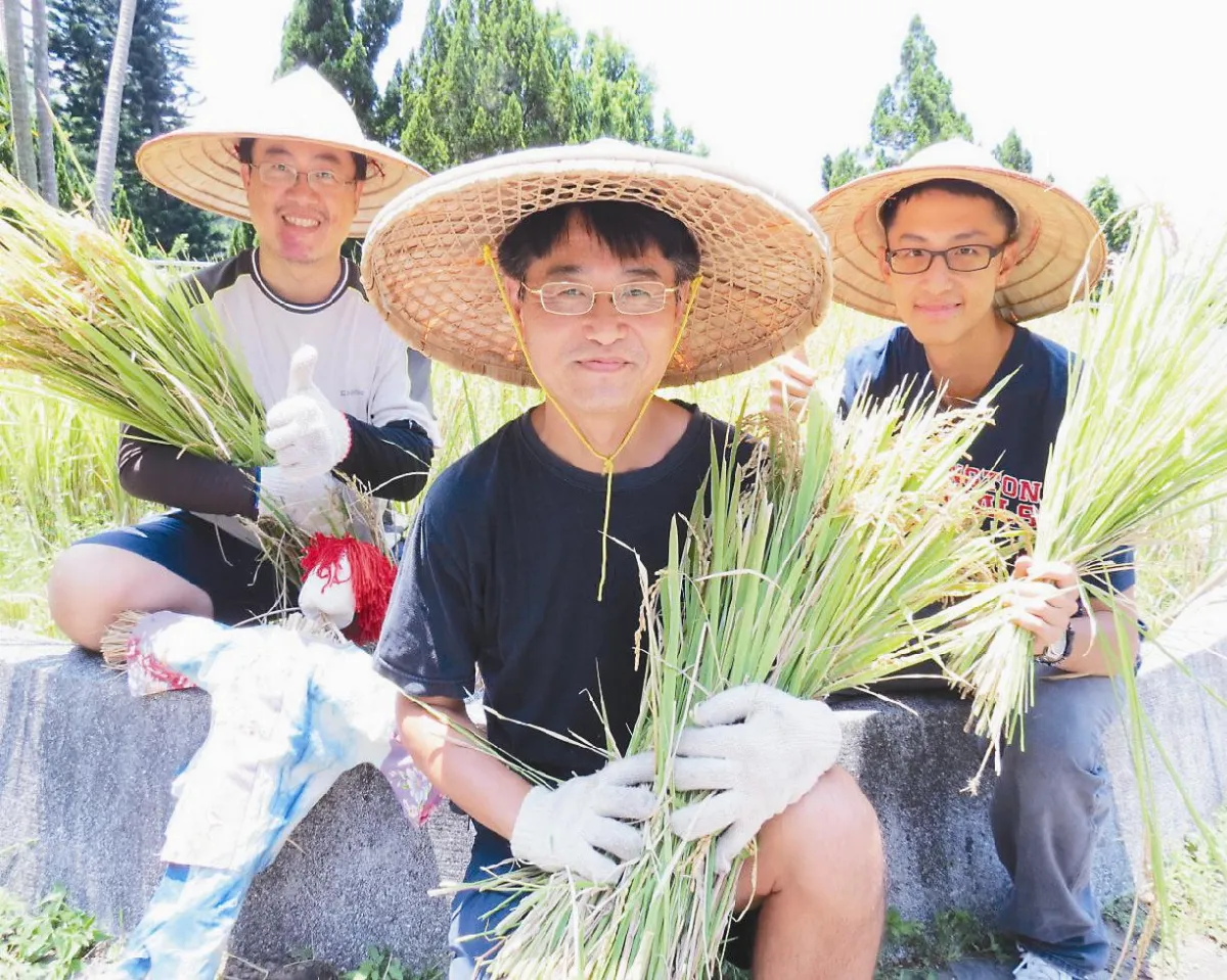 雙溪都市囝仔  體驗種稻趣