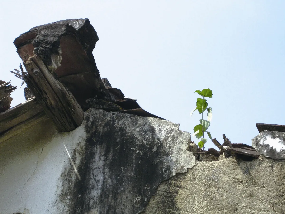 生活快門 再見生機