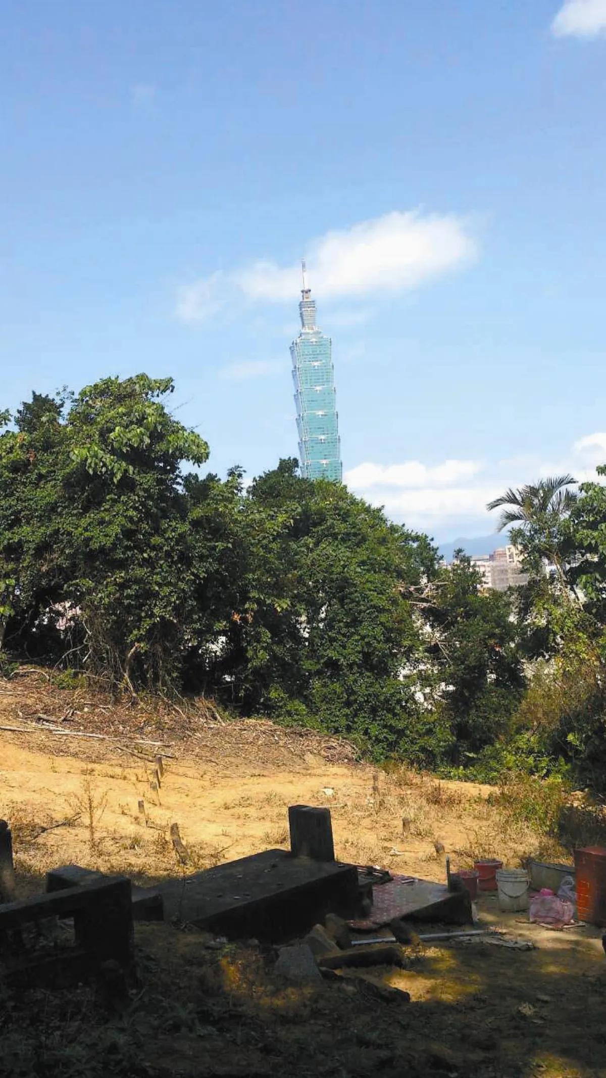 在藝術與政治之間