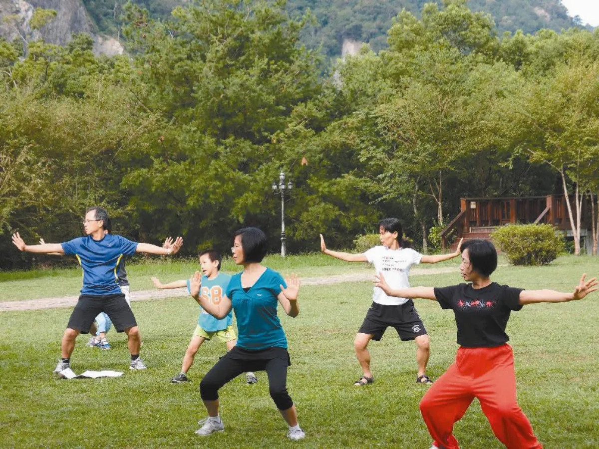 森林療癒 調劑疲憊身心靈