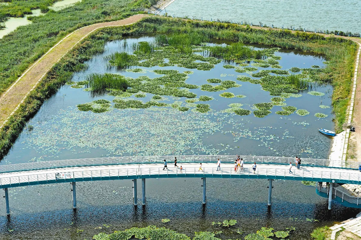 觀念轉變 收復溼地