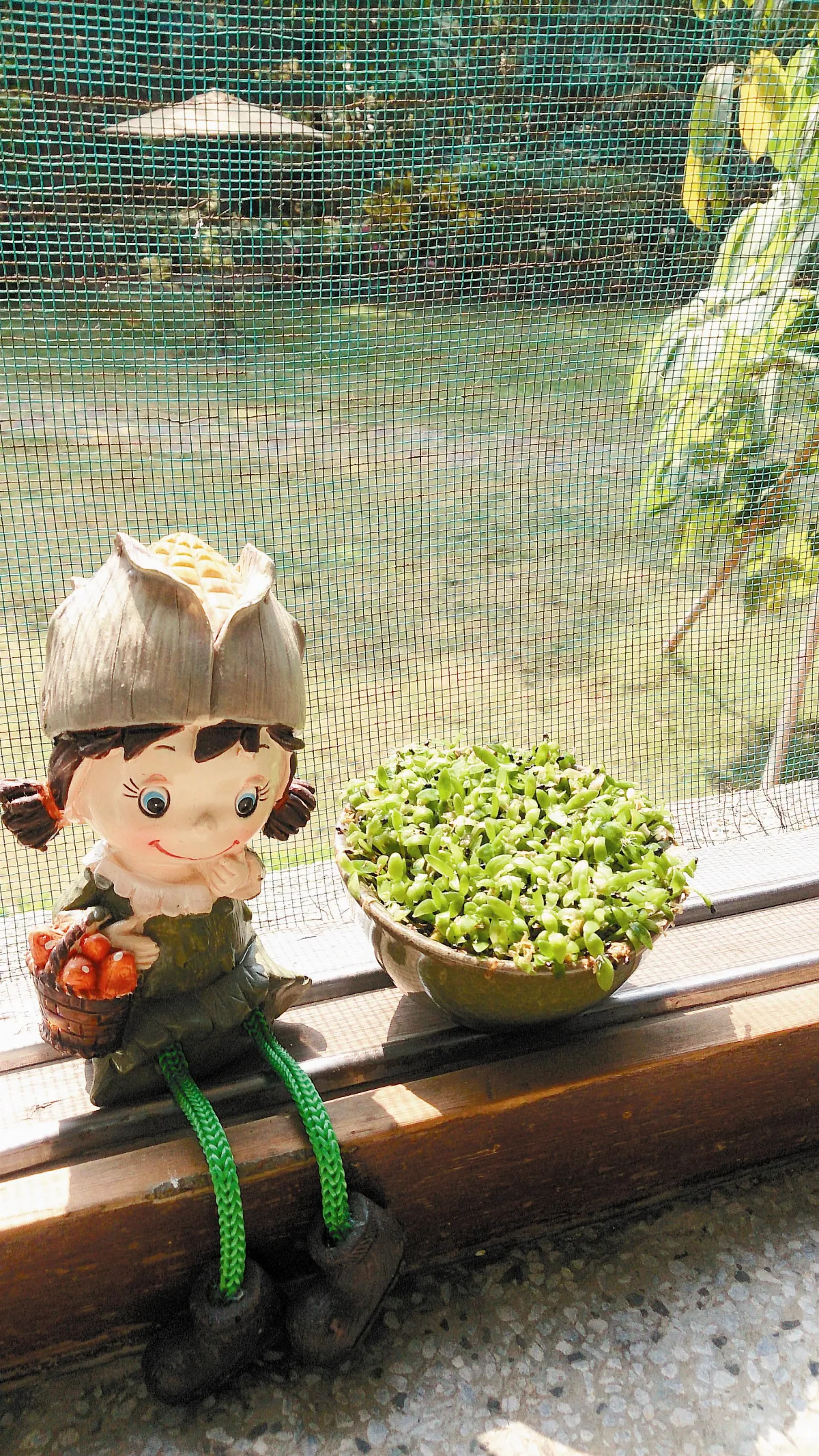 生命畫語 茹苦生慧