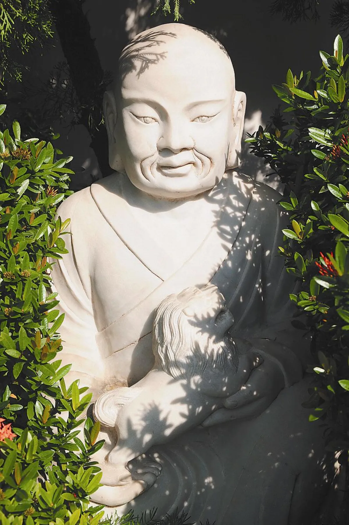 福慧故事 羅睺羅 忍辱受教  證得聖果