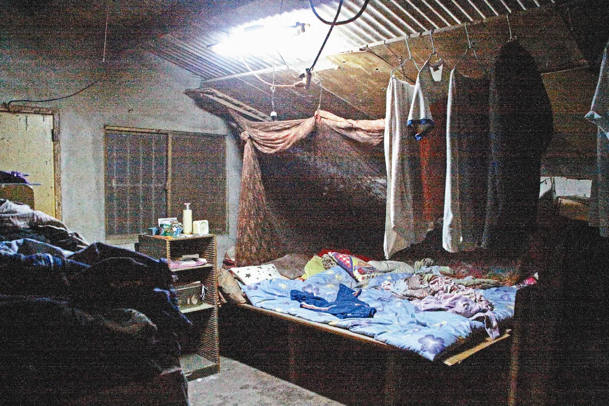 沒熱水洗澡 3姐妹盼募得貨櫃屋