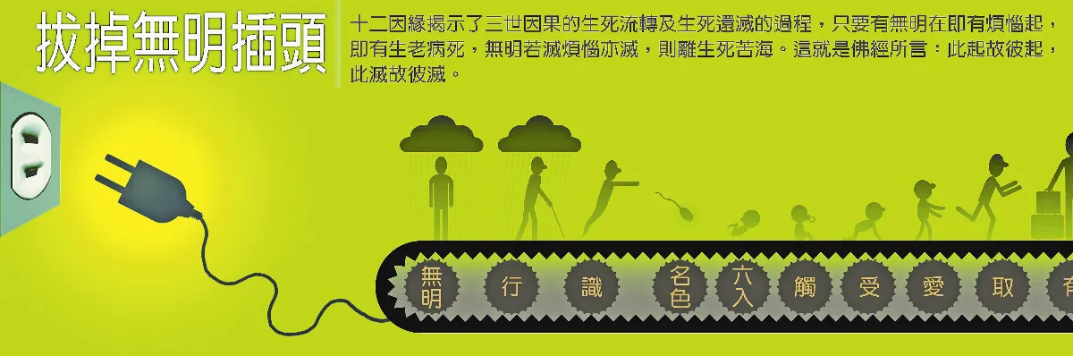 生命，我懂了