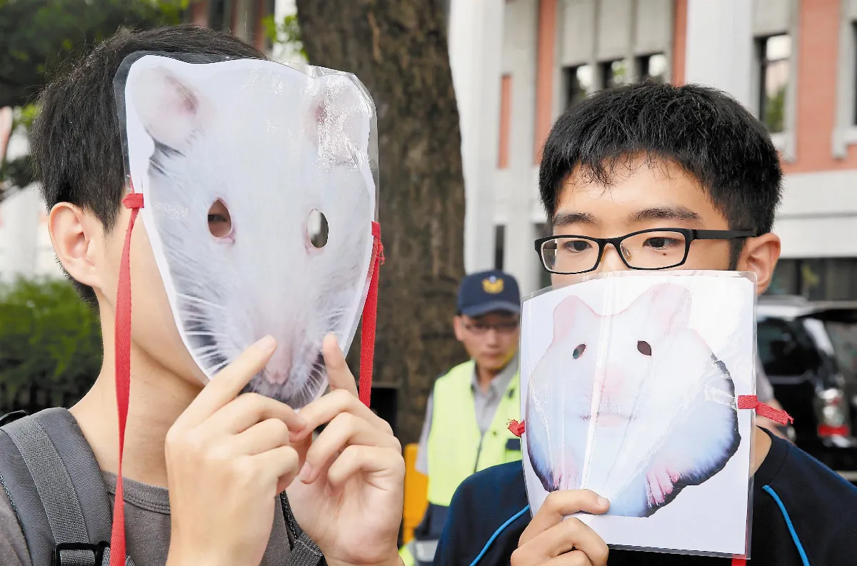 入學一團亂 家長怒批教部