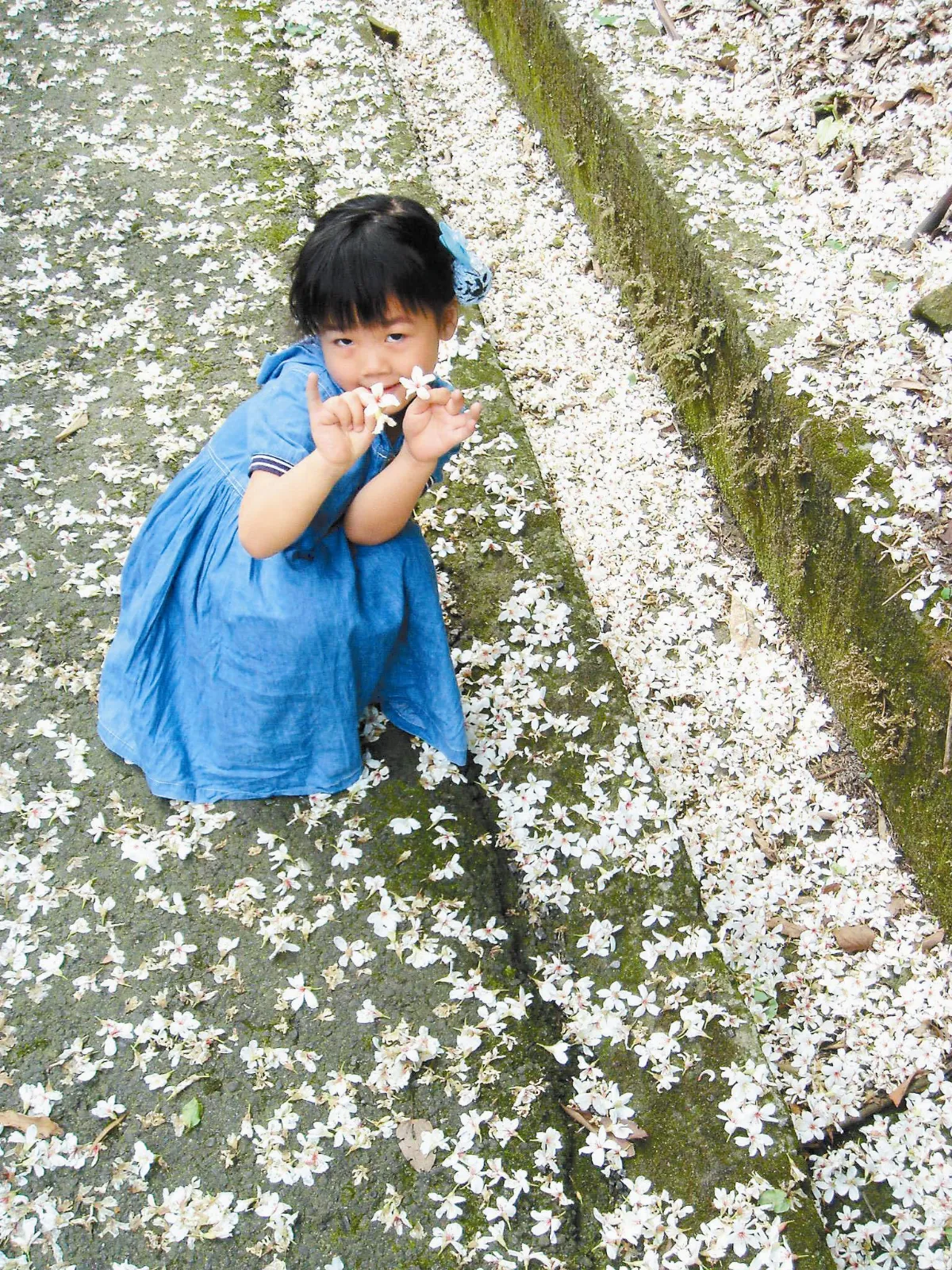 杏福按個讚 曬小孩