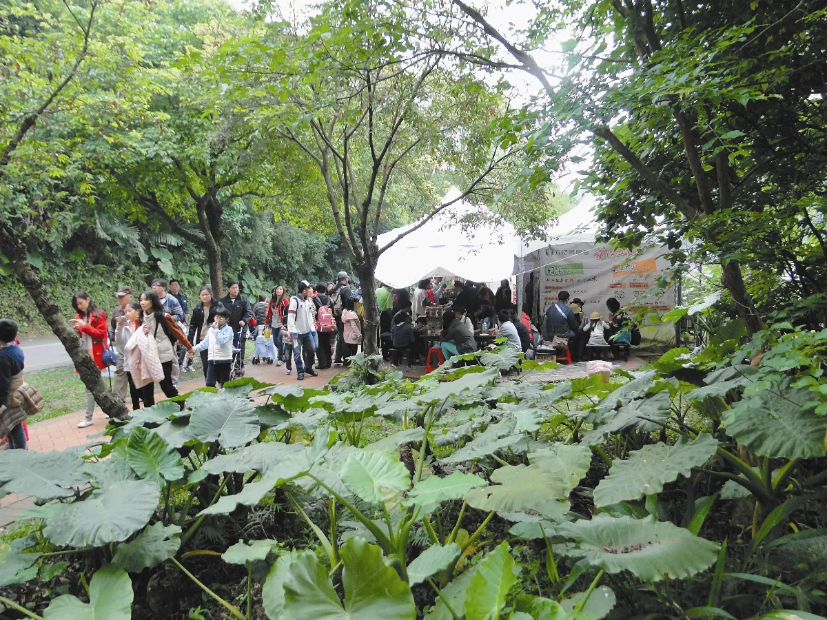【人間植物禪】    野味
