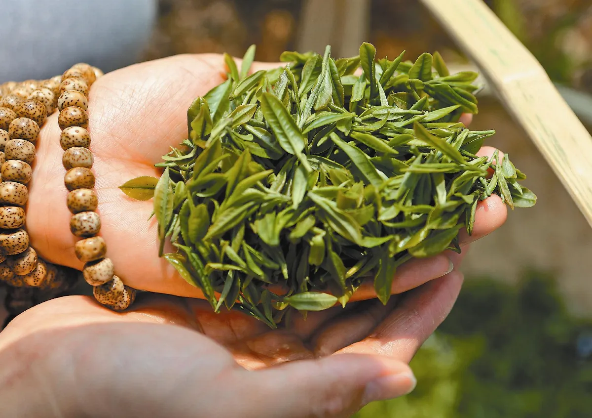 DIY消積茶 健康過中秋