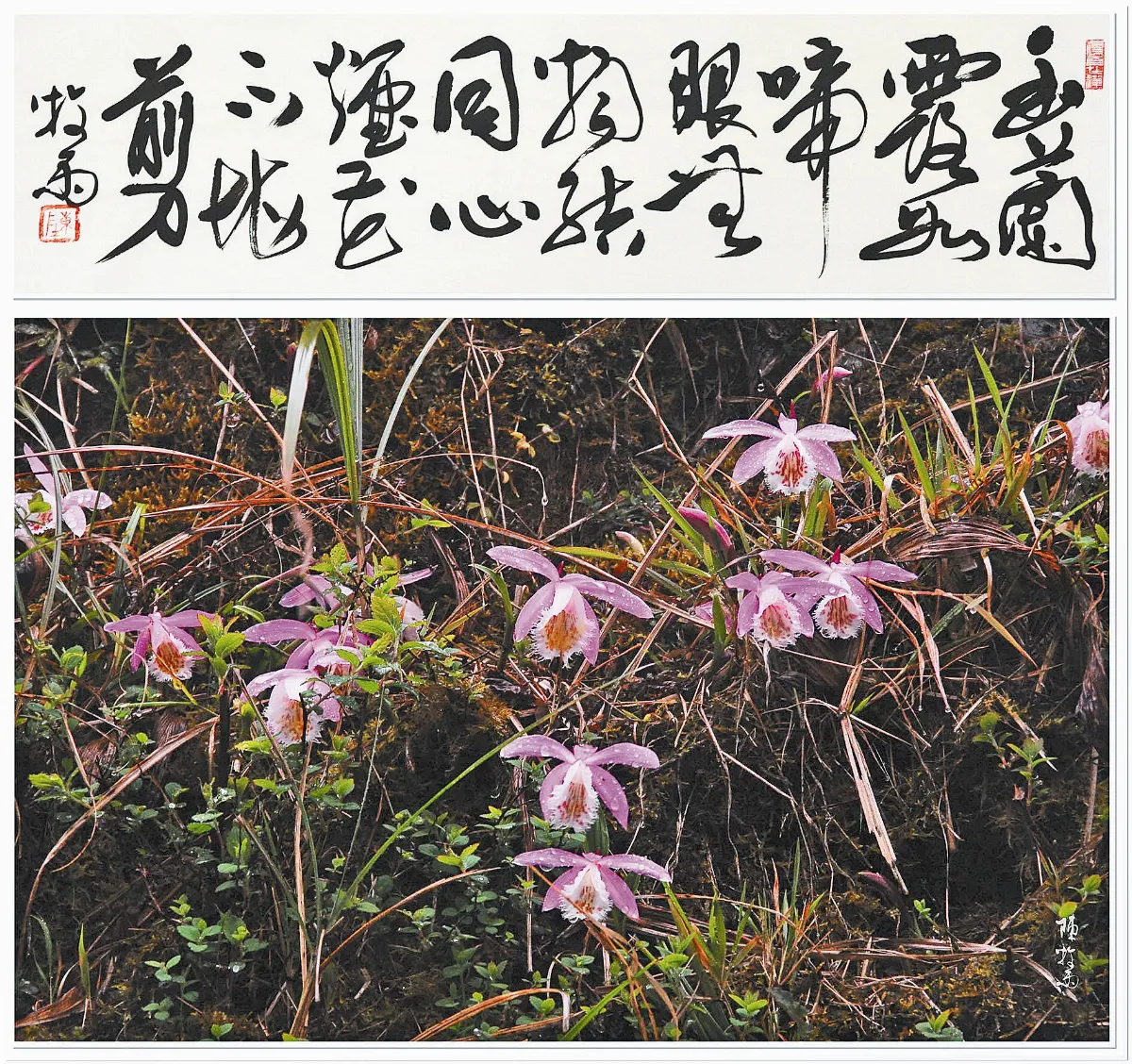 【遊藝筆記】 煙花不堪剪──蘇小小傳說（上）