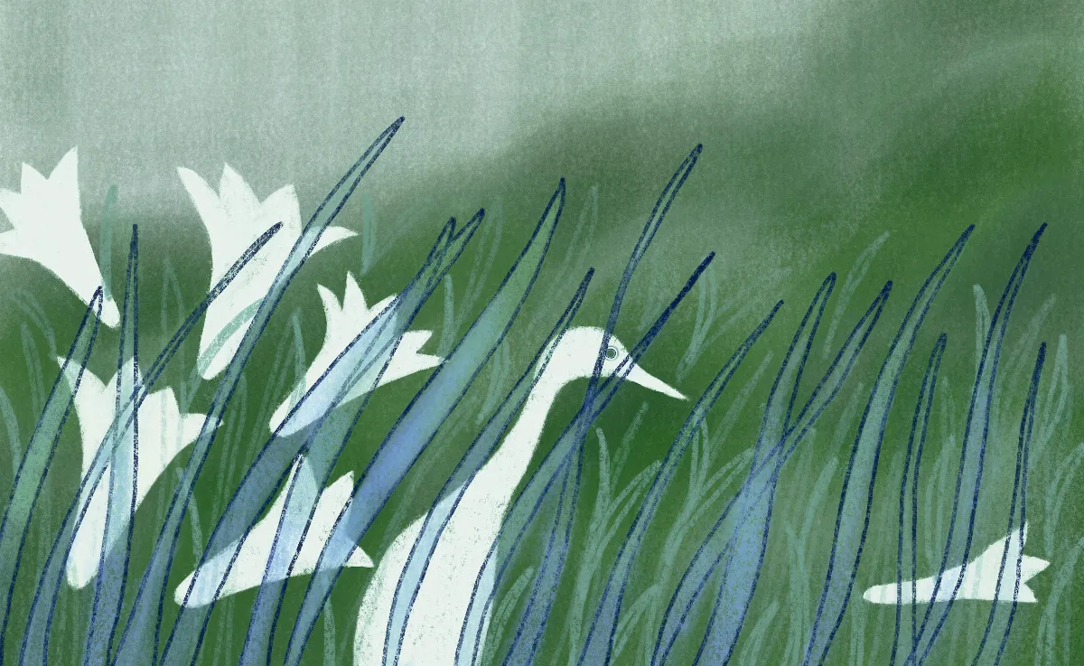浮世畫框 野百合