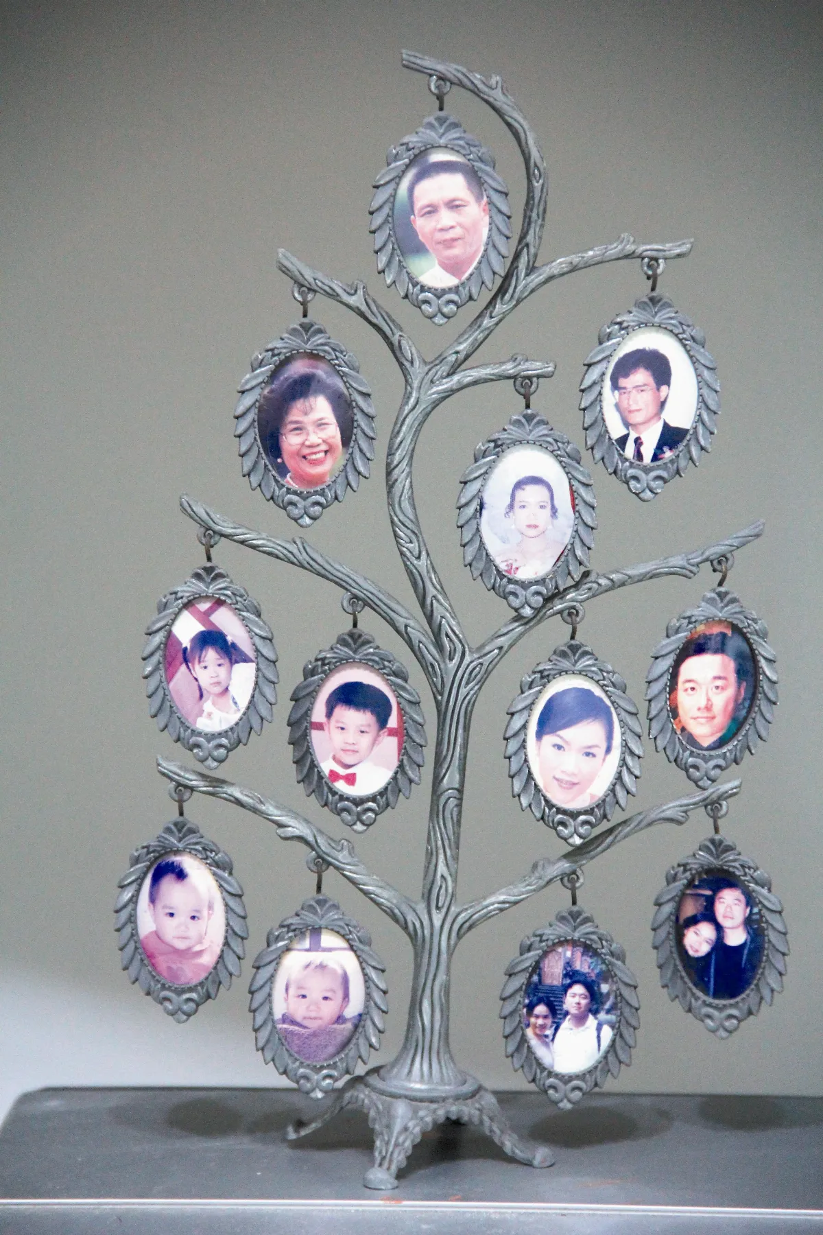 你從family tree缺席了