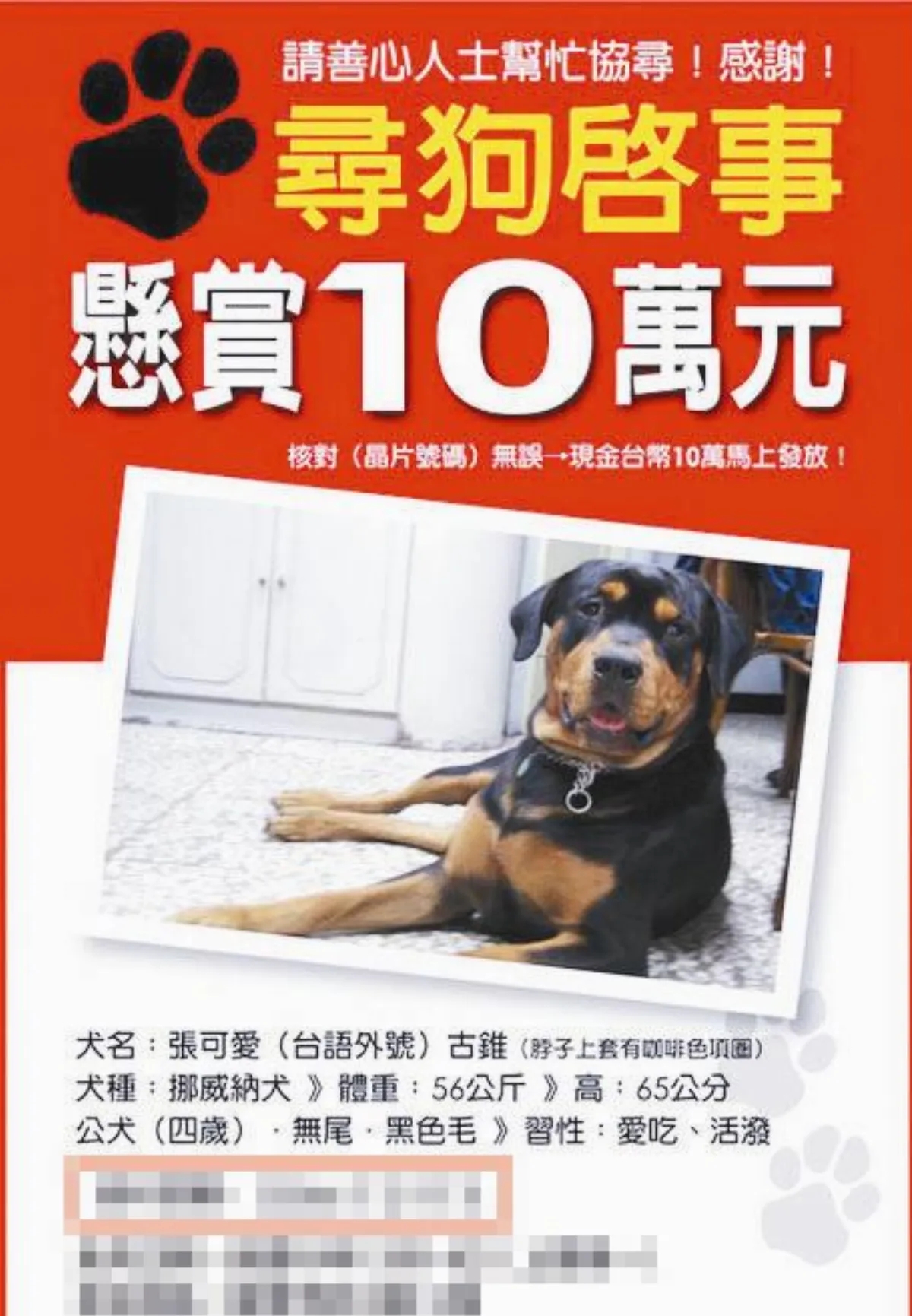 狗狗為什麼會走失？