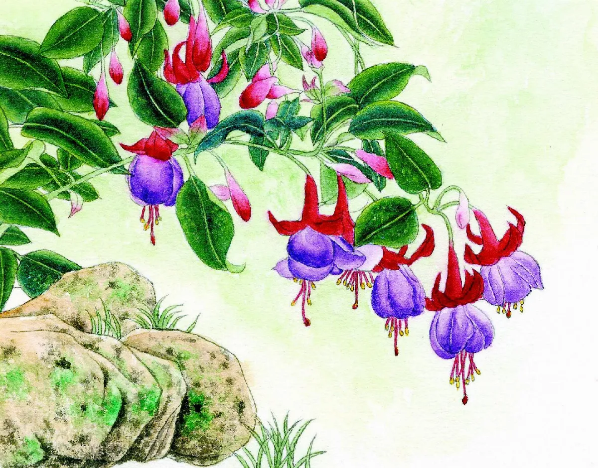 星雲說偈 莫起瞋恚