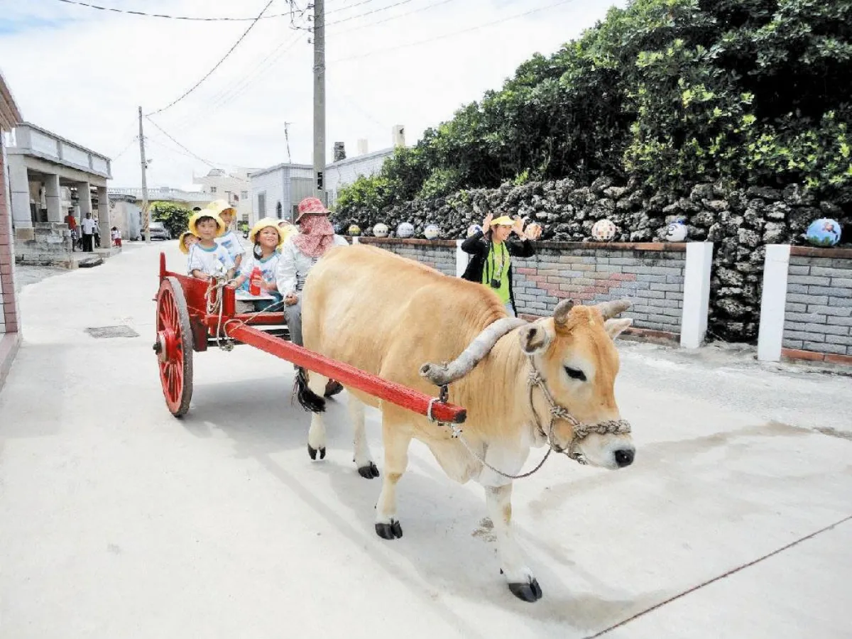 澎湖旅遊券 今兌換