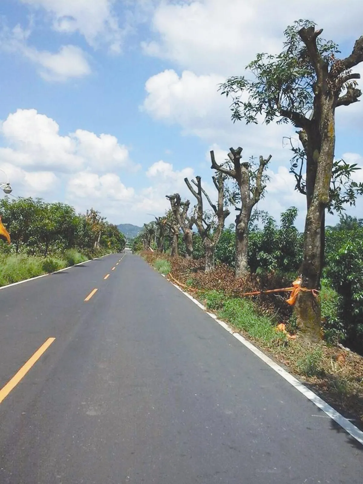 80年玉井綠隧剃光頭 地方痛心