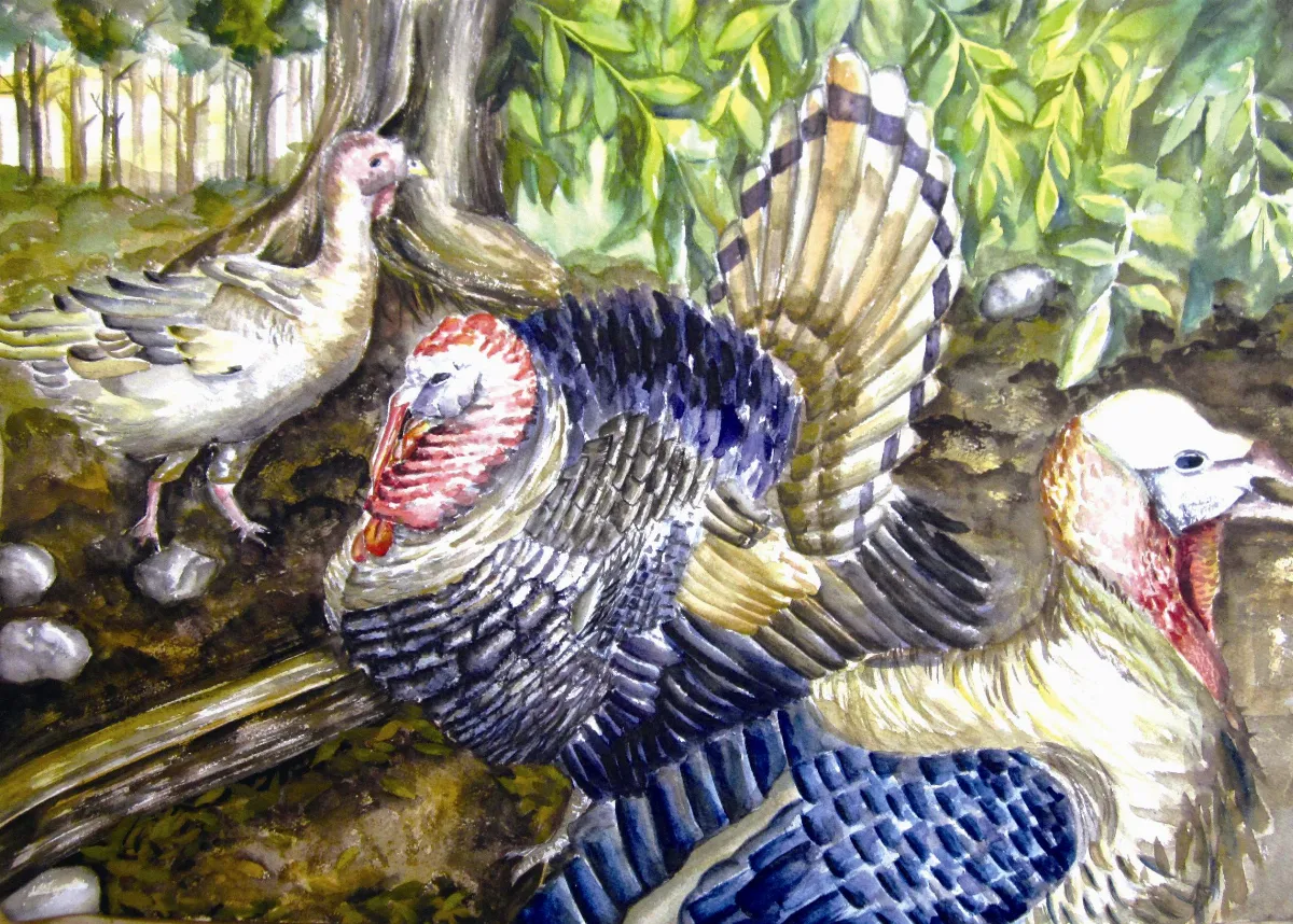 青│春│藝│林 外公家的火雞