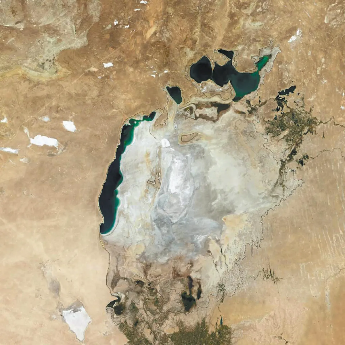 H＠2020預告鹹海死期