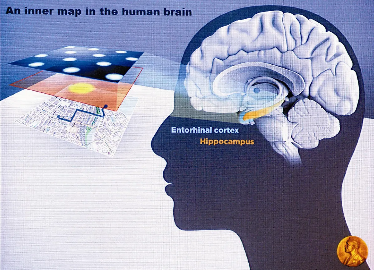 發現人腦GPS 3學者共享醫學獎