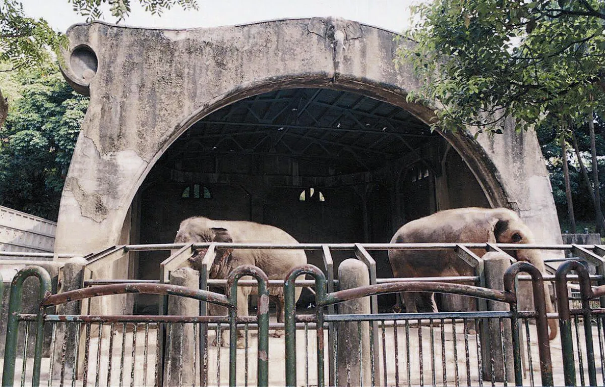 動物園100年 台灣人共同回憶