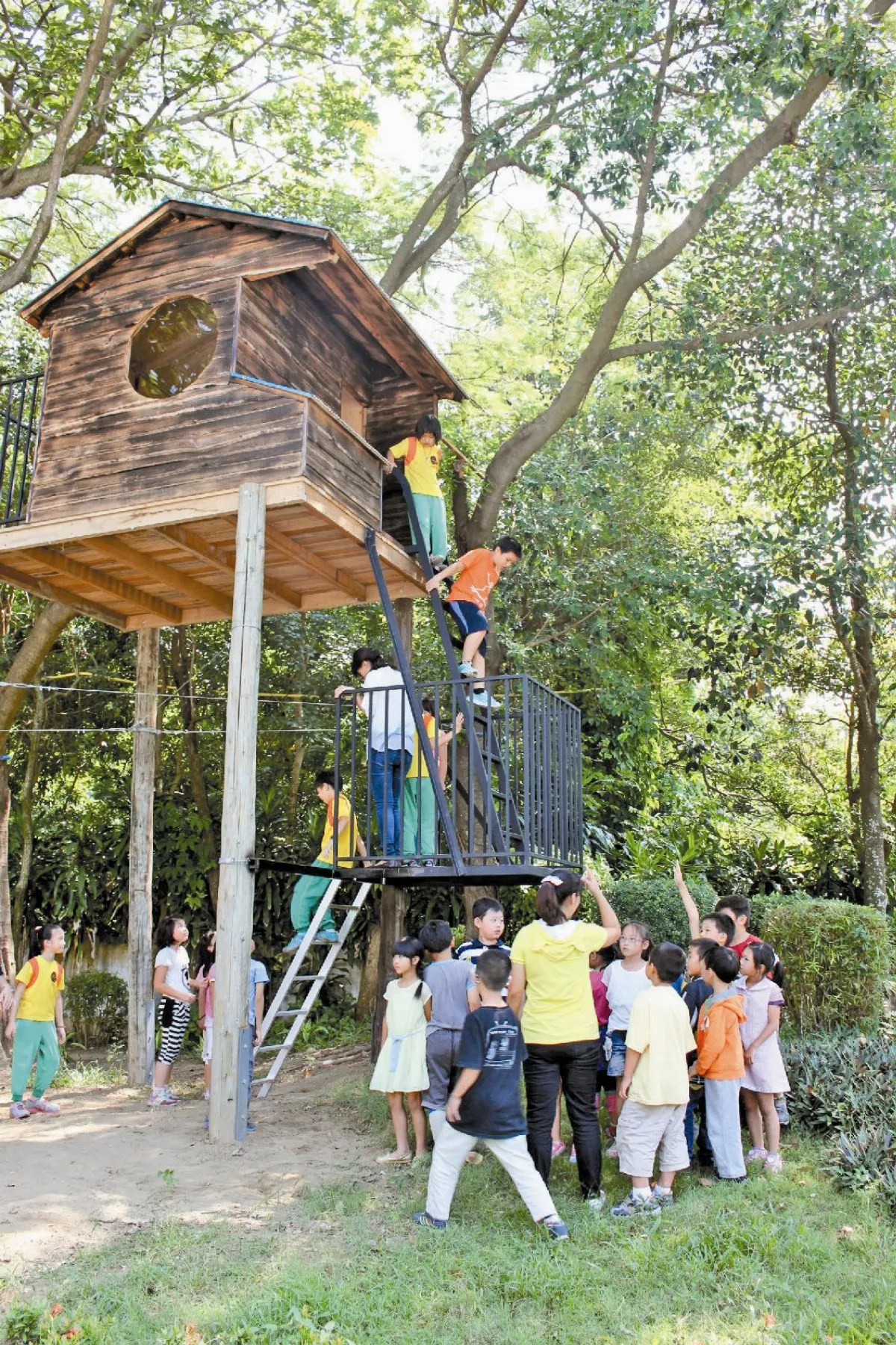 學童構想成真 廢木打造樹屋
