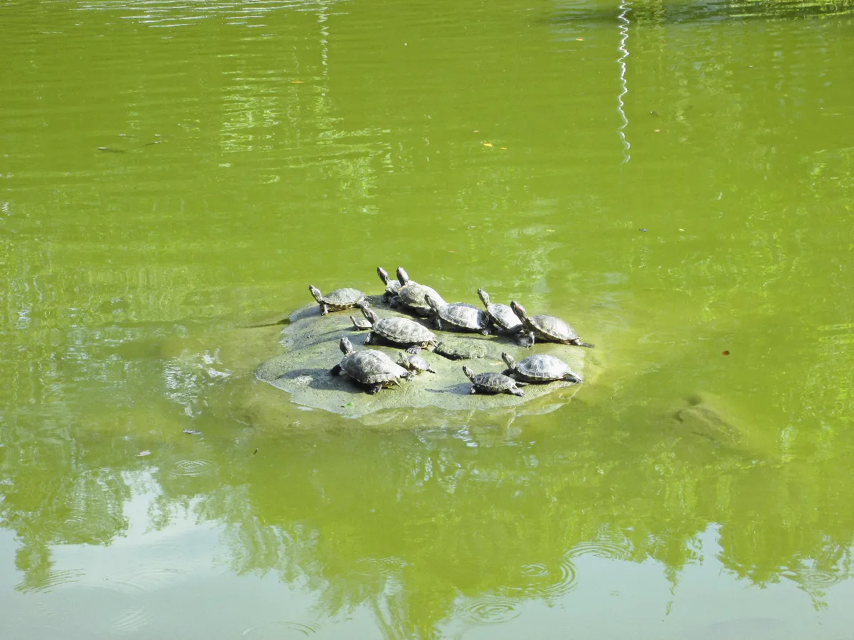 ◆生活快門 開朝會