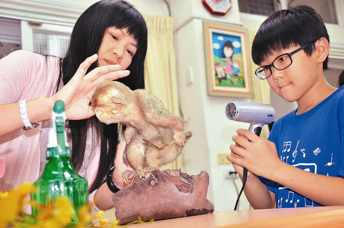 校寶揭謎 猴腮雷有bear而來