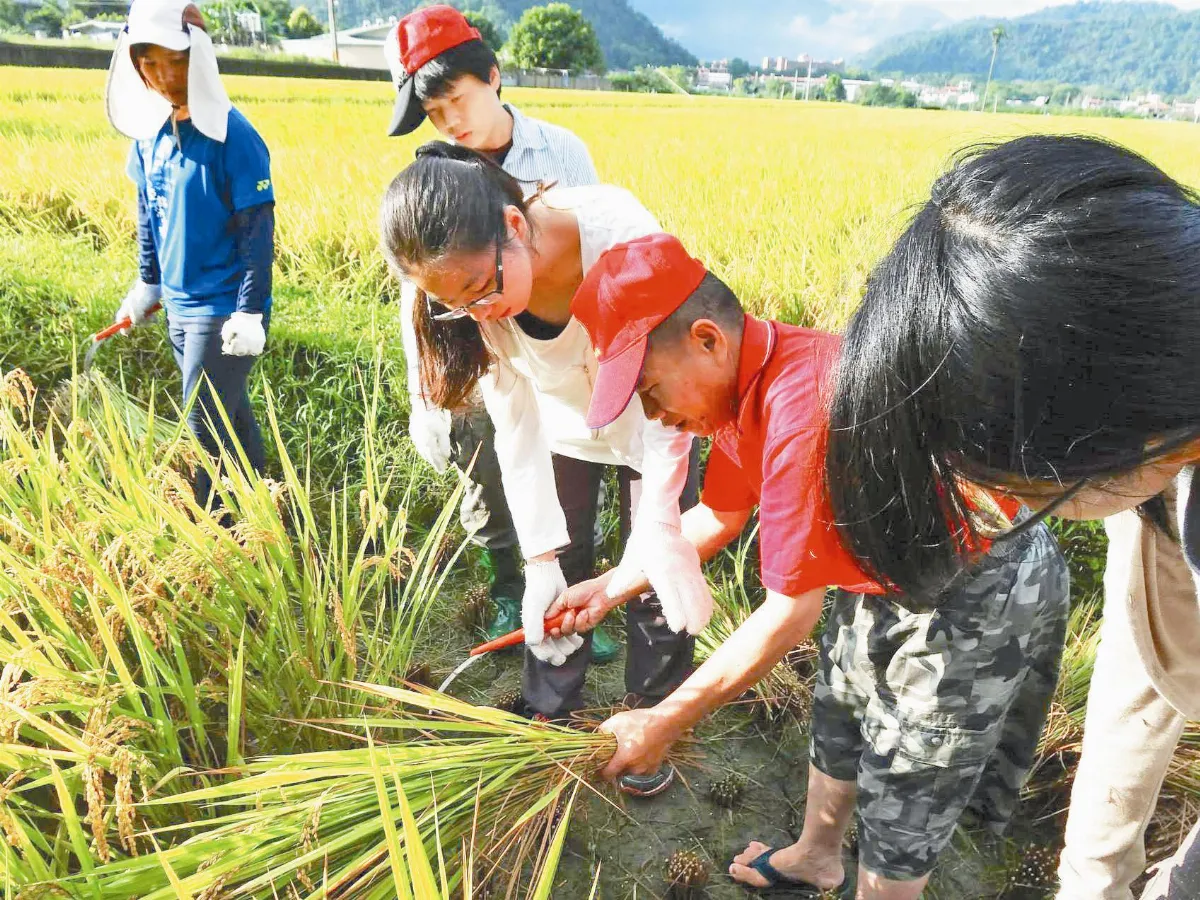大學生下田行銷 籃城農村有活力