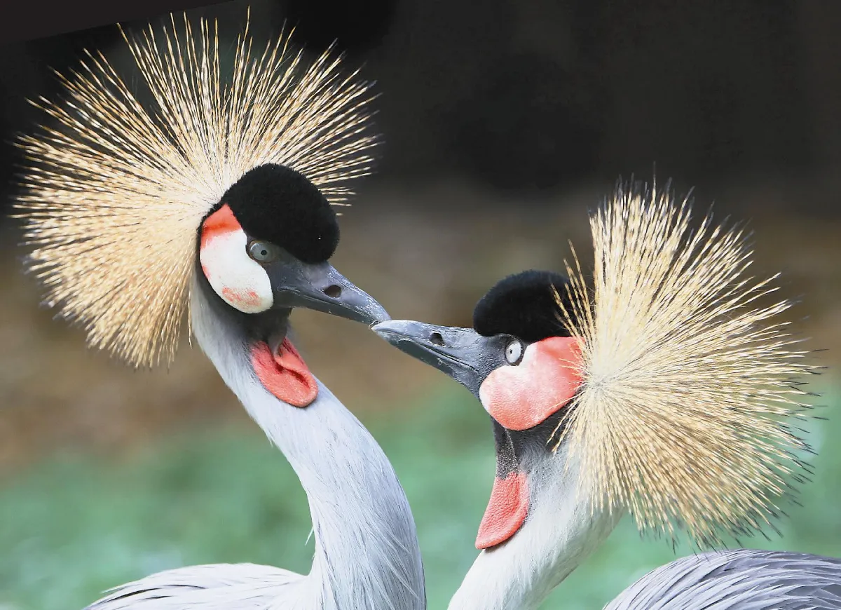 我的眼裡只有你